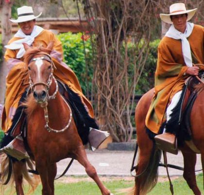 Tour Pachacamac y show de caballos de paso